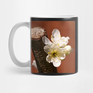 Plum Blossom Mug